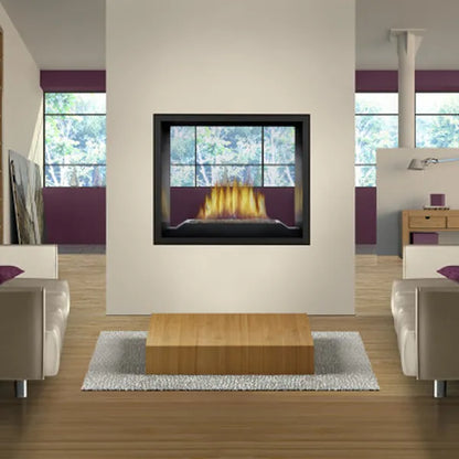 Napoleon High Definition 54" HD81 See-Thru Direct Vent Gas Fireplace 60,000 BTU