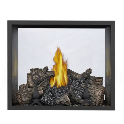 Napoleon High Definition 54" HD81 See-Thru Direct Vent Gas Fireplace 60,000 BTU