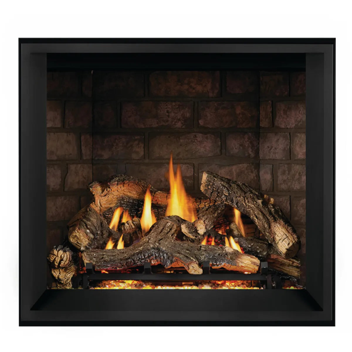 Napoleon 39" Elevation X 36 Direct Vent Gas Fireplace 37,000 BTU