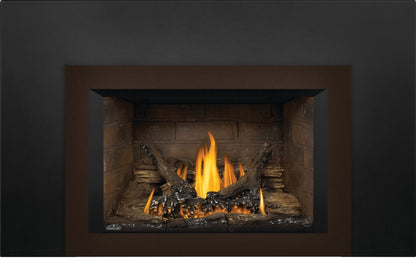 Napoleon 29" Oakville 3 Direct Vent Gas Fireplace Insert 24,500 BTU