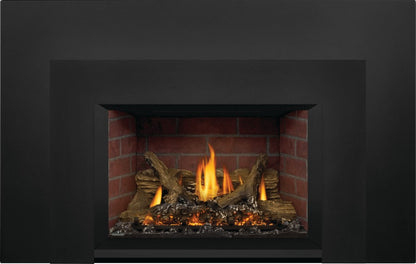 Napoleon 29" Oakville X3 Direct Vent Gas Fireplace Insert 30,000 BTU