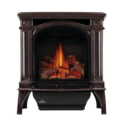 Napoleon 24" Bayfield Direct Vent Cast Iron Gas Stove 24,500 BTU