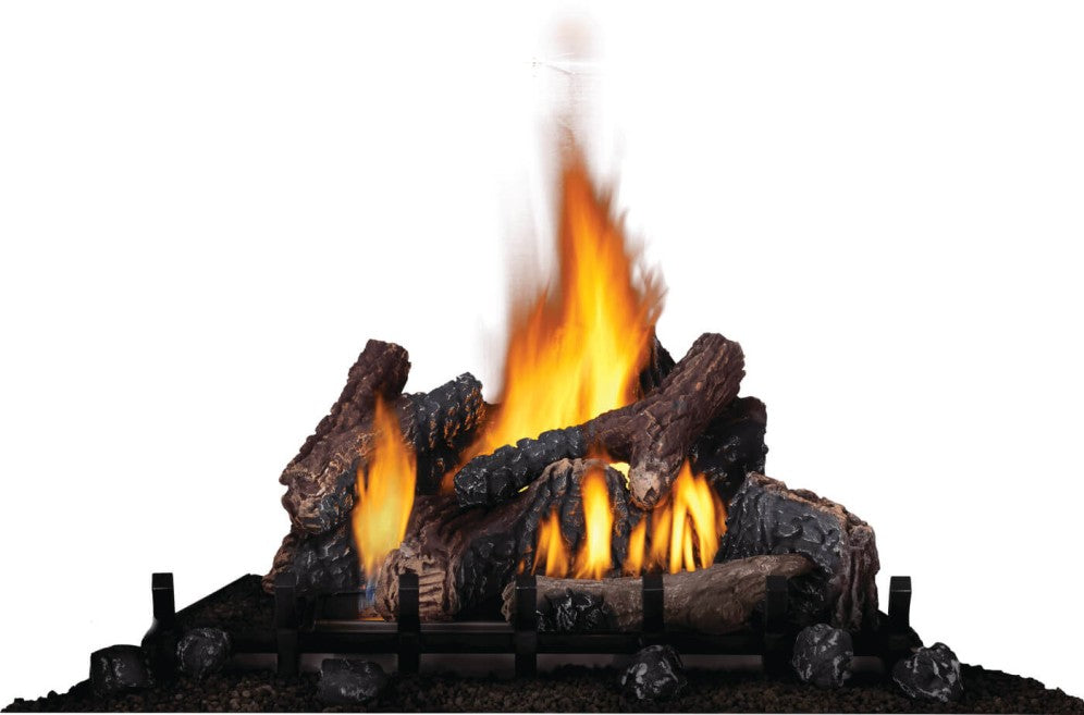 Napoleon Riverside 42" Clean Face Outdoor Gas Fireplace 65,000 BTU