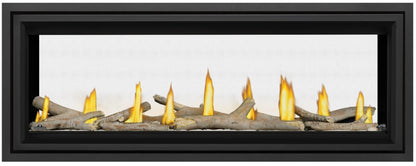 Napoleon Vector 50" Direct Vent See-Through Gas Fireplace 36,000 BTU