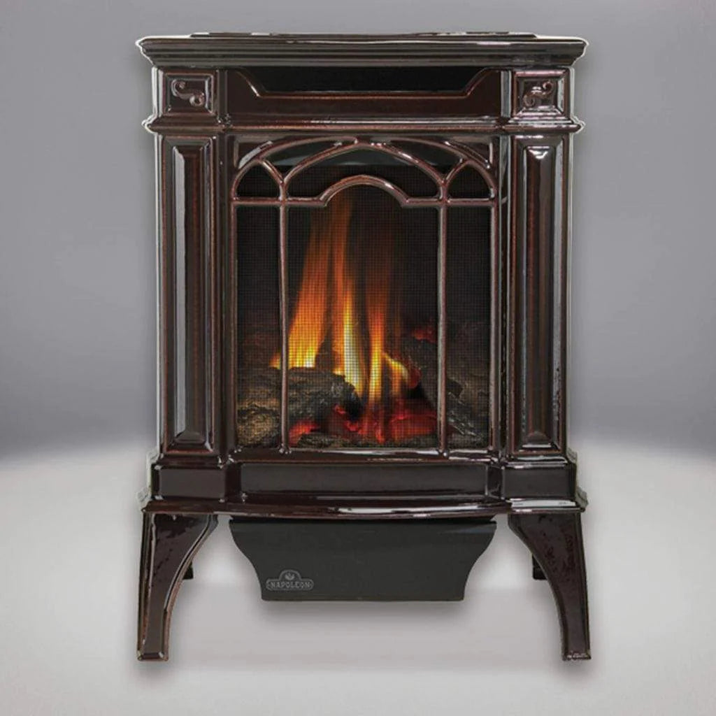 Napoleon Arlington 19" Direct Vent Cast Iron Gas Stove 20,000 BTU