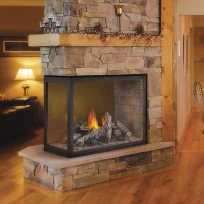 Napoleon Ascent 43" 3 Sided Multi-View Direct Vent Peninsula Gas Fireplace with Logs 30,000 BTU