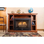 Buck Stove 38" Model 34 Manhattan Vent Free Gas Stove Insert 33,000 BTU